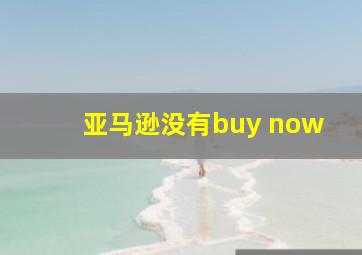 亚马逊没有buy now